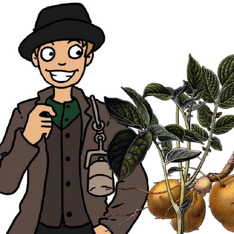 Comicbild Mann und Kartoffelpflanzen